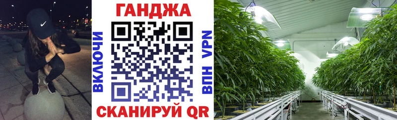 Канабис семена Наволоки